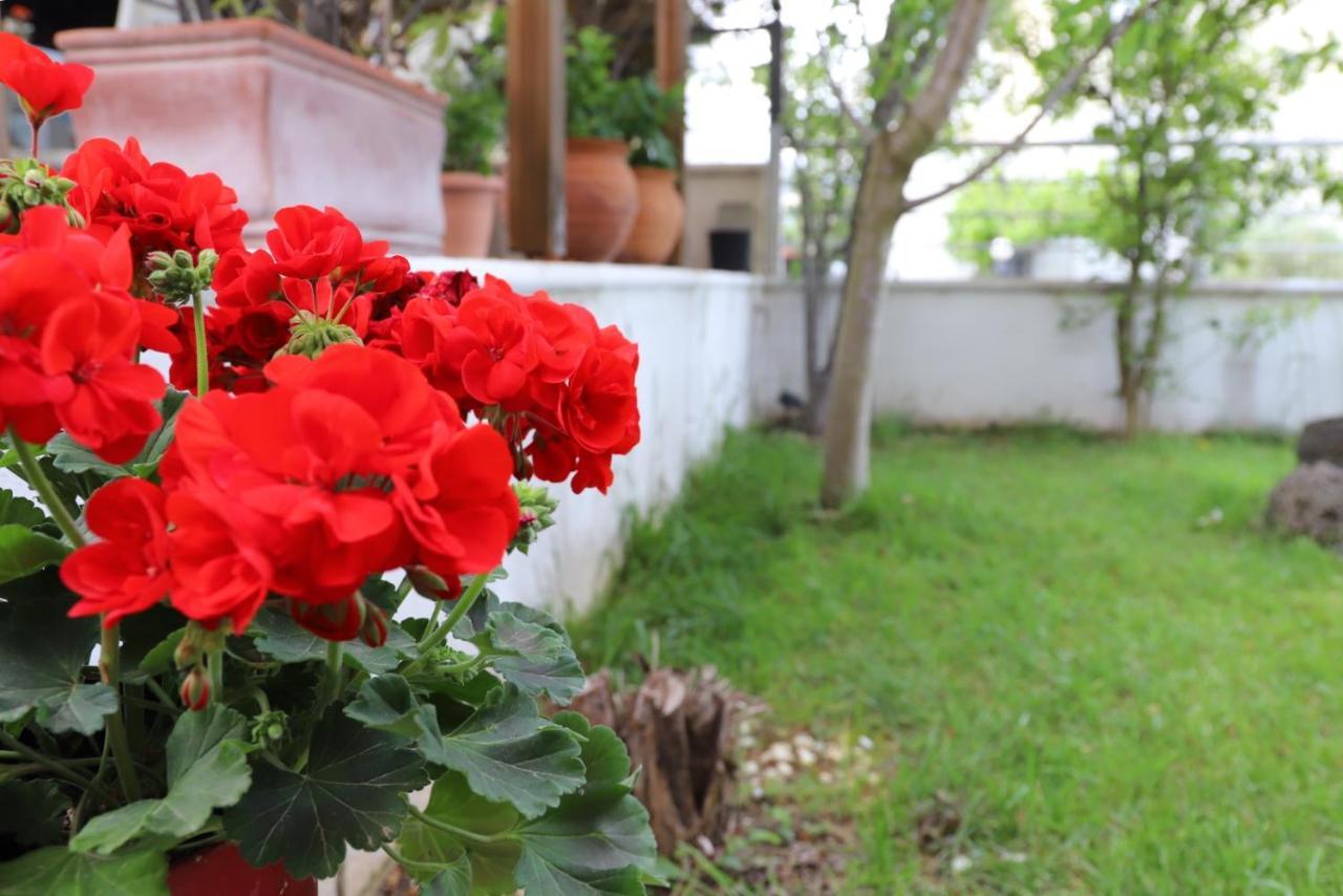 Belle Maison Villa Kavala Exteriör bild